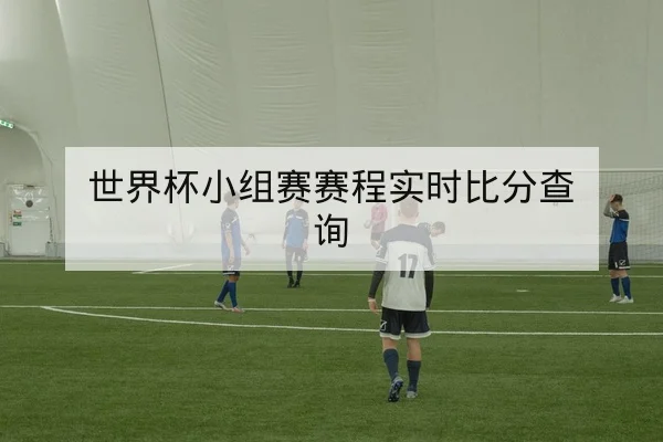 世界杯小组赛赛程实时比分查询